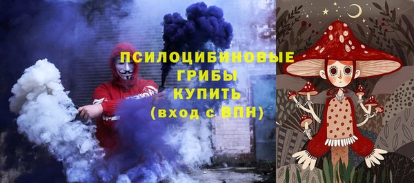 PSILOCYBIN Балабаново